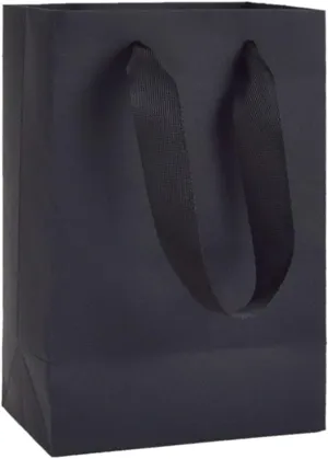 HUAPRINT Black Paper Bags,Matte Black Gift Bags,Shopping bags with Handles,20 Pack Small Kraft Bags 5.25x3.25x8inch,Retail Bags,Party Favor Bags,Merchandise Business Bags,Wedding Bags