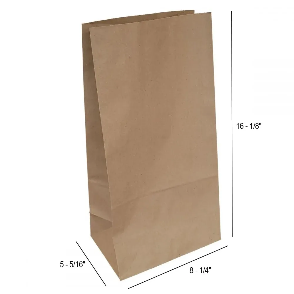 Kraft Shopping Bags | 100% Recycled | Hardware Style | 50 Pk