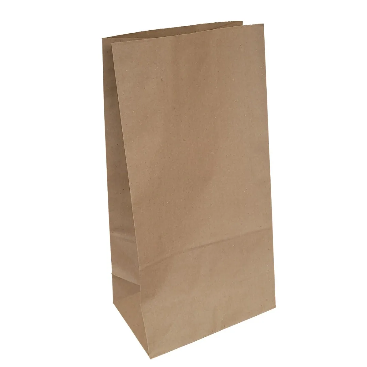 Kraft Shopping Bags | 100% Recycled | Hardware Style | 50 Pk