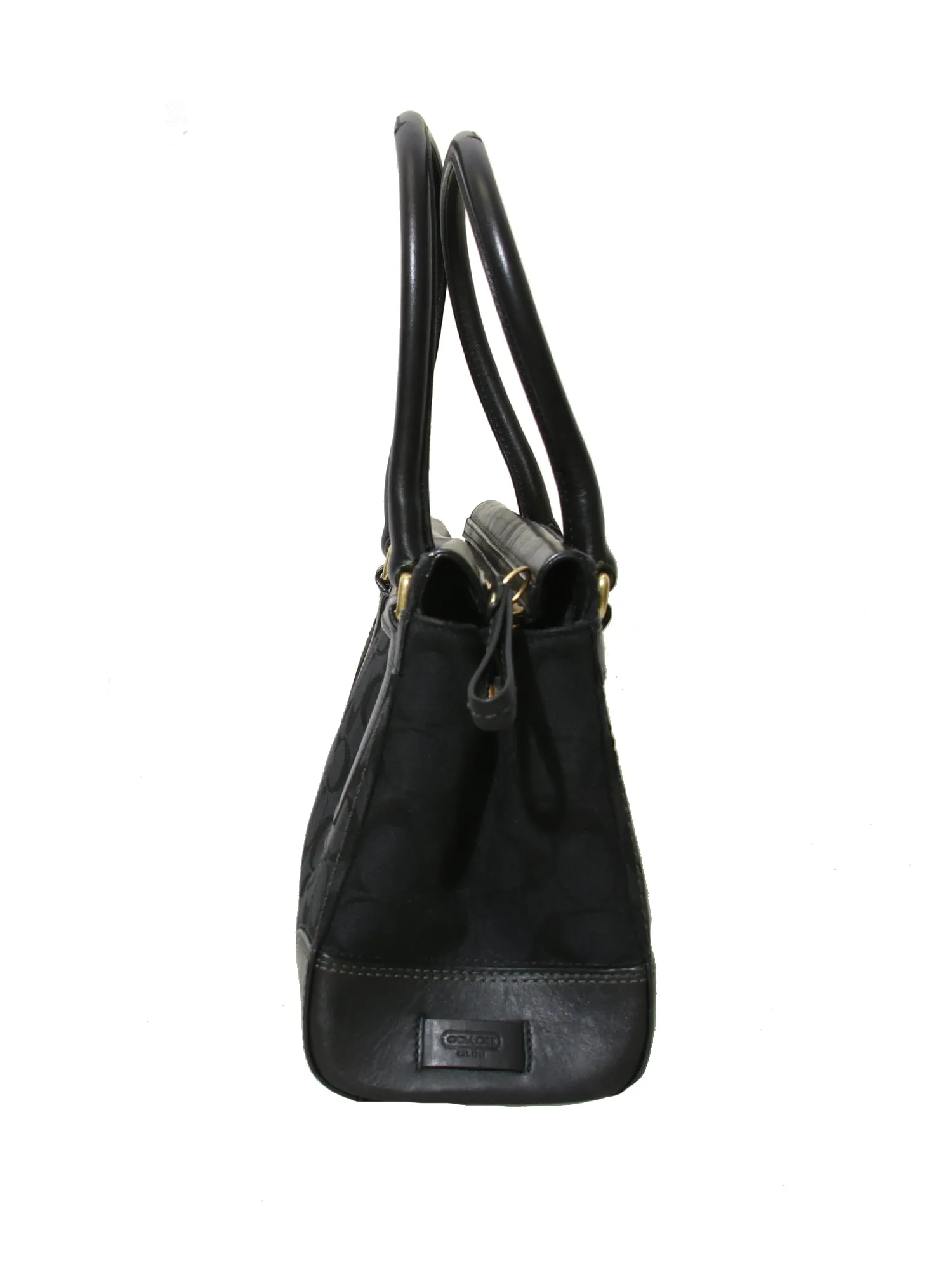 Leather Trimmed Canvas Monogram Tote