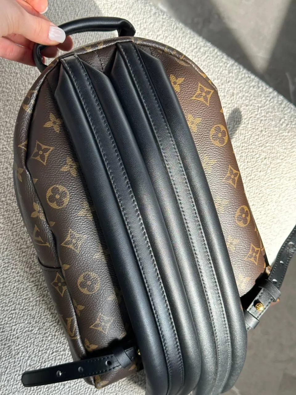 Louis Vuitton Palm Springs Mini Monogram Canvas Bag