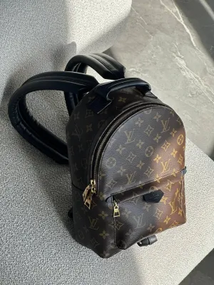 Louis Vuitton Palm Springs Mini Monogram Canvas Bag