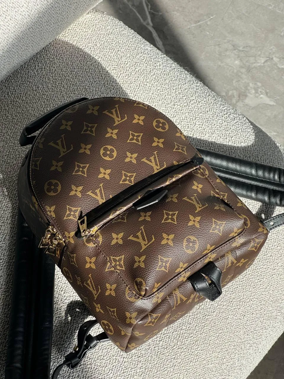 Louis Vuitton Palm Springs Mini Monogram Canvas Bag