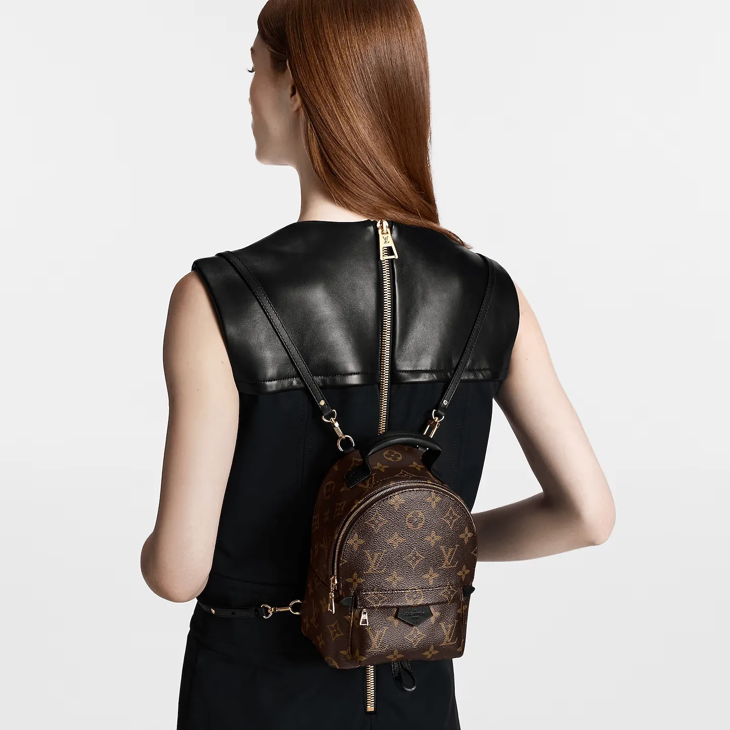 Louis Vuitton Palm Springs Mini Monogram Canvas Bag