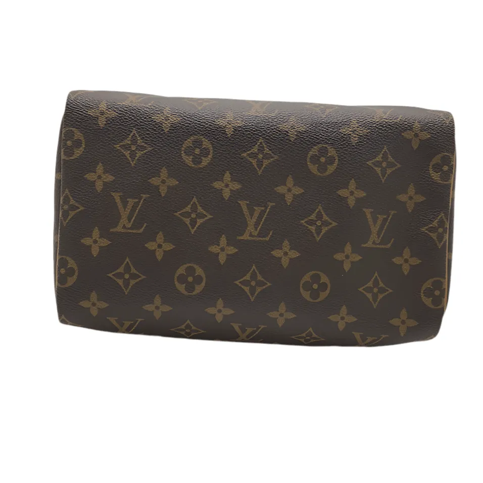 Louis Vuitton Speedy 25 Bag