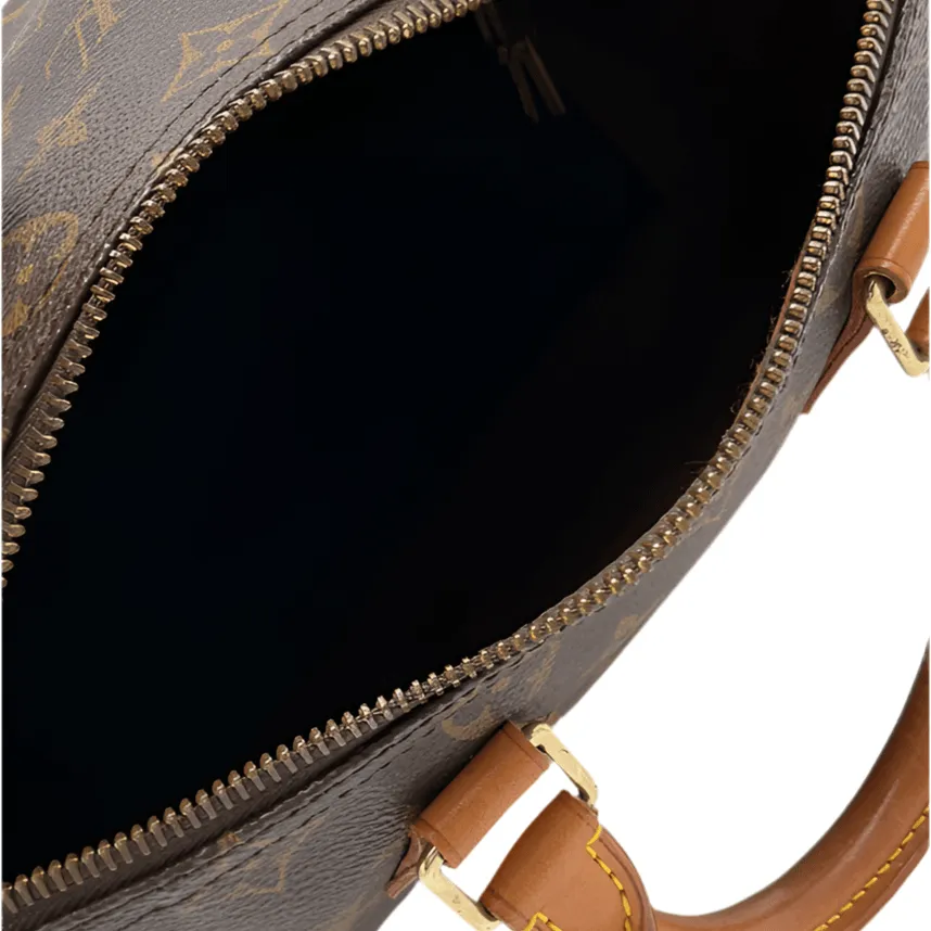 Louis Vuitton Speedy 25 Bag
