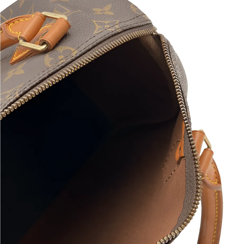 Louis Vuitton Speedy 25 Bag