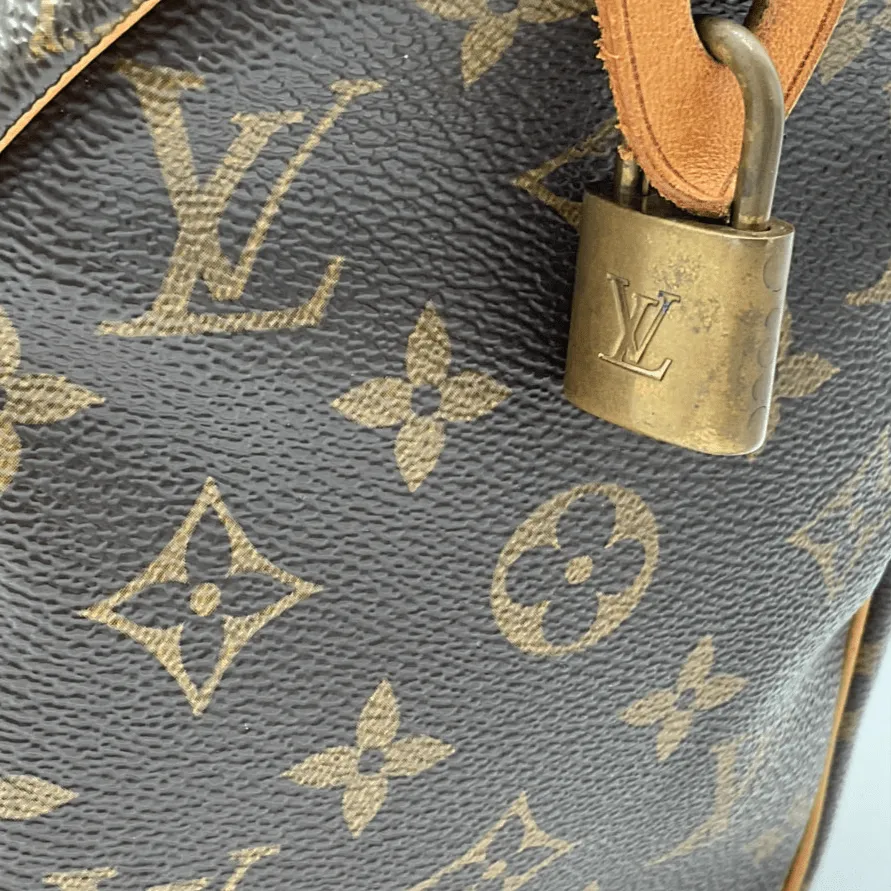 Louis Vuitton Speedy 25 Bag