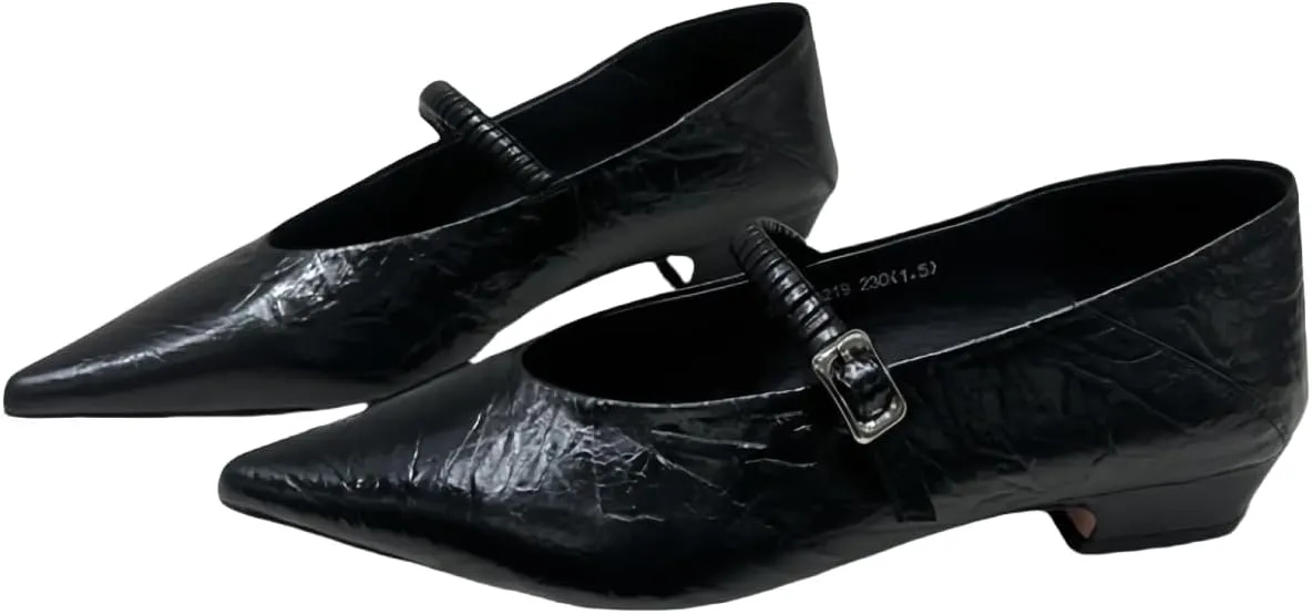 Metallic Style Mary Jane Flats for Women with Side Metal Buckle Closed Pointed Toe Genuine Leather Shoes Low Heels and Low-Cut Comfort Casual Dressy Office Work