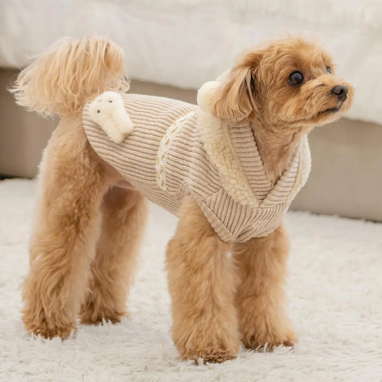 willow pom pom hoodie